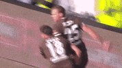 Team Tor GIF by FC St. Pauli