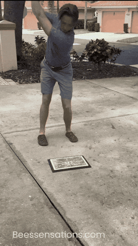 BeesSensations giphyupload GIF