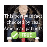 Patriots Sticker