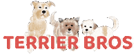 Dog Park Terrier Sticker by Modern Mayberry