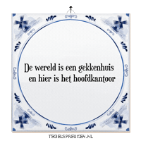 Chaos Spreuk Sticker by Tegelspreuken.nl