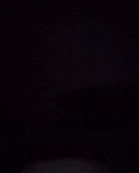 Zaza GIF