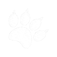 Pres Sticker by Presbyterian School