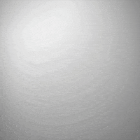 now streaming late night GIF by Fireball Whisky