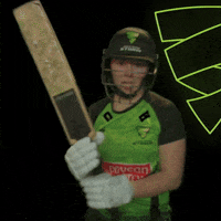 Storm Troopers Sport GIF by Somerset County Cricket Club