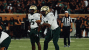 College Football GIF by USF Athletics