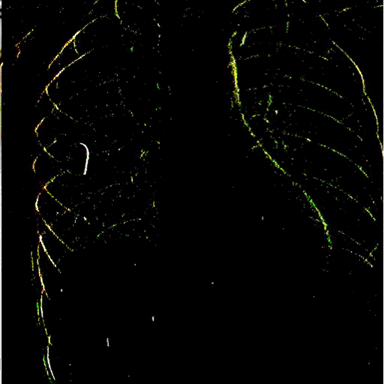 glitch gore GIF by Death Orgone