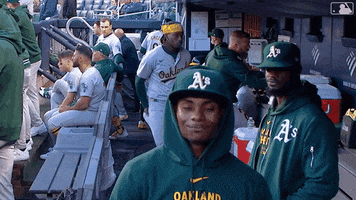 Sport Smile GIF by MLB