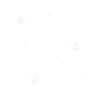 Stars Shine Sticker
