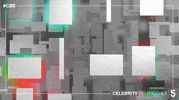 celebrity big brother GIF by Big Brother UK
