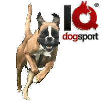 Bull Terrier Dog Sticker by IQ Dogsport