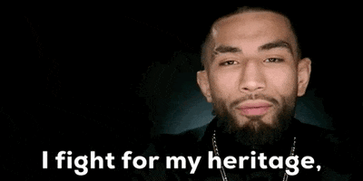 Episode 2 Flag GIF by UFC