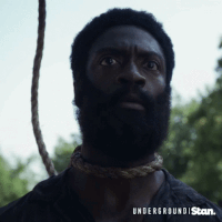 underground s2 GIF by Stan.