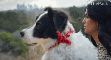 GIF by Amazon Prime Video