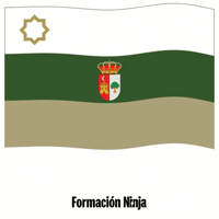 Flag Spain GIF by Formación Ninja