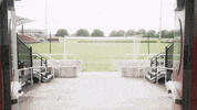 University Of Louisville Go Cards GIF by Louisville Cardinals