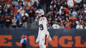 That Way Football GIF by New England Patriots