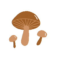 Fall Season Sticker by Tacméla