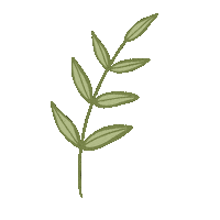 Plant Leaves Sticker by Tacméla