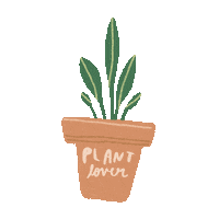 franzizo plant plants plantlover franzizo Sticker