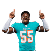 Miami Football Sticker by Miami Dolphins