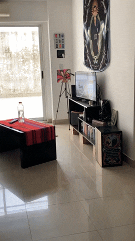 cuteanimalland giphyupload GIF