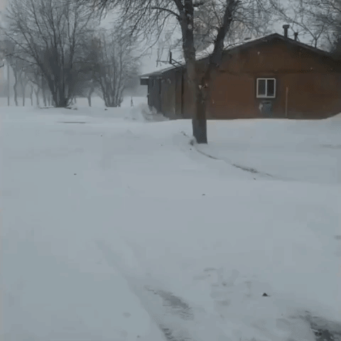 Blizzard Causes Snow Drifts in Northern Montana