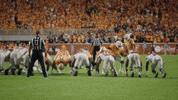 Football Win GIF by Tennessee Athletics