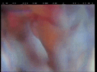 Joey Santiago Sunglasses GIF by PIXIES