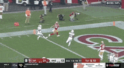 National Football League GIF by NFL