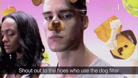 dog filter GIF by Super Deluxe