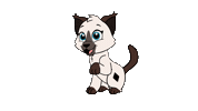 Happy Siamese Cat Sticker by The High Meows