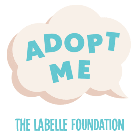 Pollencorp giphyupload adopt adoption foster Sticker