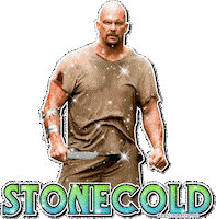 stone cold wwe STICKER