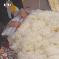 Hair Store GIF by TRT