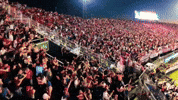 Granate Lanus Campeon GIF