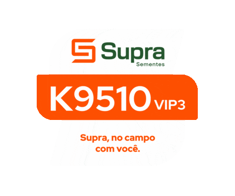 Milho Supra Sticker by Supra Sementes