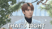Netflix Yes GIF by The Swoon