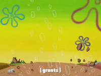 season 4 episode 6 GIF by SpongeBob SquarePants