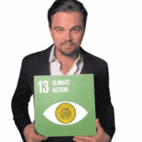 ecobrainambiental consultoria universoecobrain ecobrainambiental ecobrain GIF