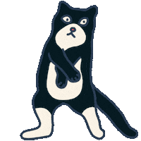 Happy Black Cat Sticker by krist menina