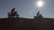Ride GIF by Harley-Davidson
