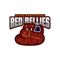 Baseball Sizzler Sticker by Ozball