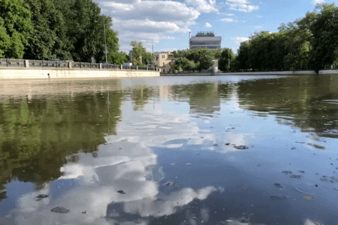 giphyupload moscow GIF