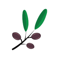 grecofreshgrille greek olive greekfood greco Sticker