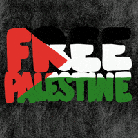 Palestine Gaza GIF by yux