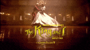 musical theatre broadway GIF by London Theatre Direct