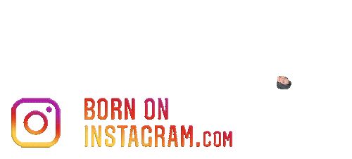 Vaishnaviboi Sticker by BORN ON INSTAGRAM