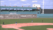 Blue Jays Mlb GIF by Toronto Blue Jays