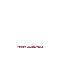 TribebyAmrapali tribe amrapali tribeamrapali tribebyamrapali tribe amrapali nav chandrika collection Sticker